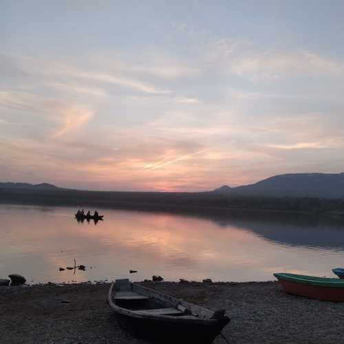 Photo #8546430