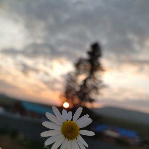 Photo #8546431