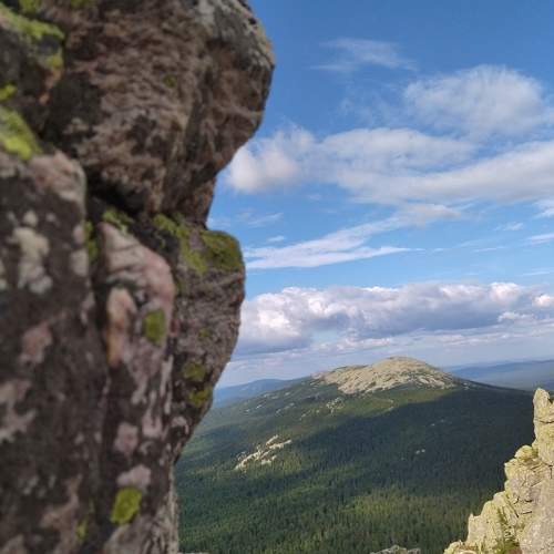 Photo #8546432