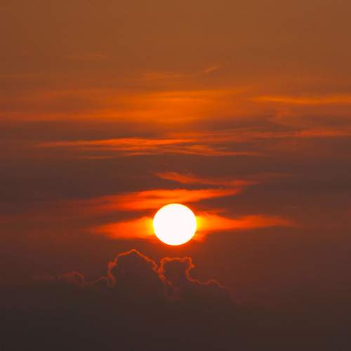Photo #8546472