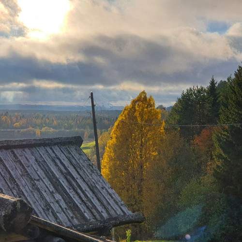 Photo #8546873
