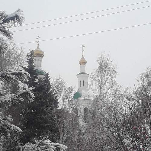 Photo #8546932