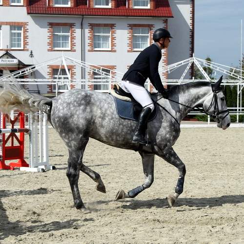 Photo #8547217