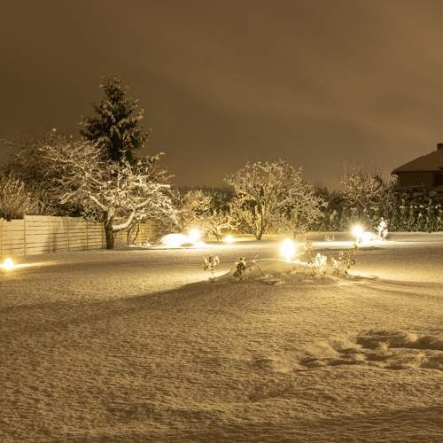 Winter garden