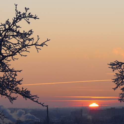Photo #8547448