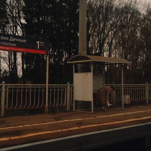 Photo #8547658