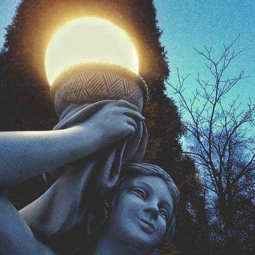 Photo #8547659