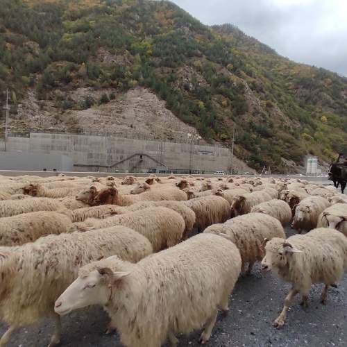Photo #8547808