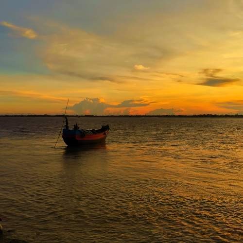 Photo #8548272