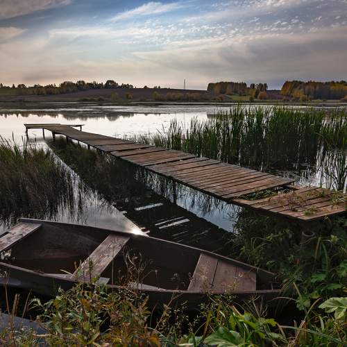 Photo #8548536