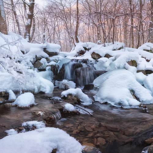 Photo #8548806