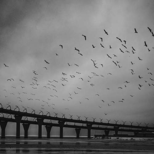 Photo #8549041