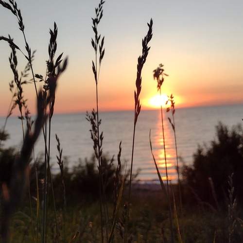 Photo #8549351