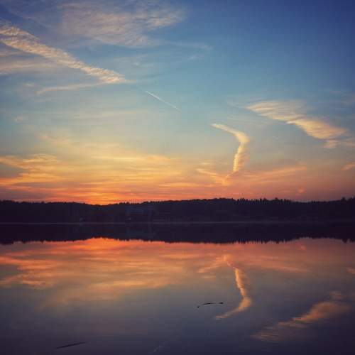 Photo #8549488