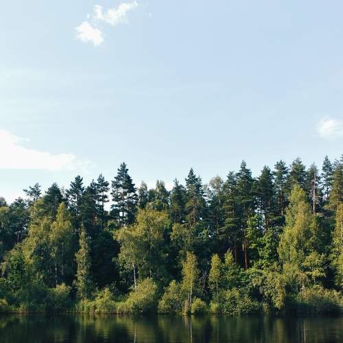 Photo #8549498