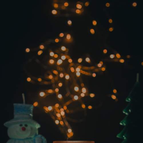 Photo #8549661