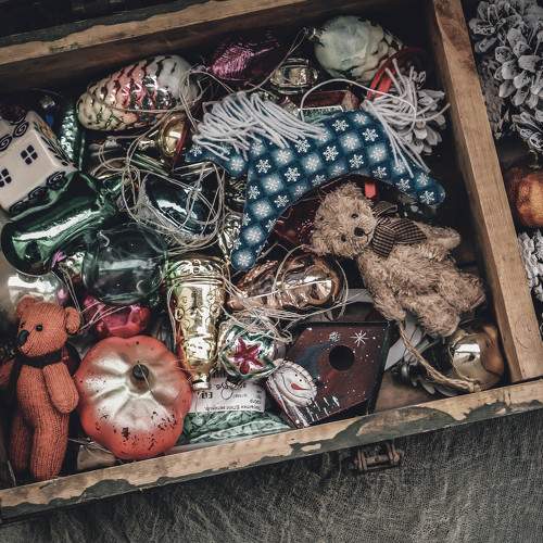 Photo #8549769