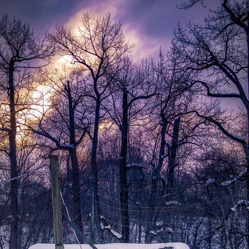 Photo #8549849