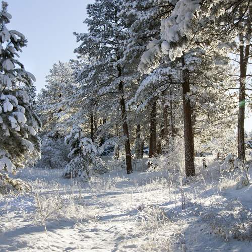 Photo #8549968