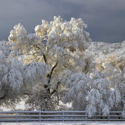 Winter in my village