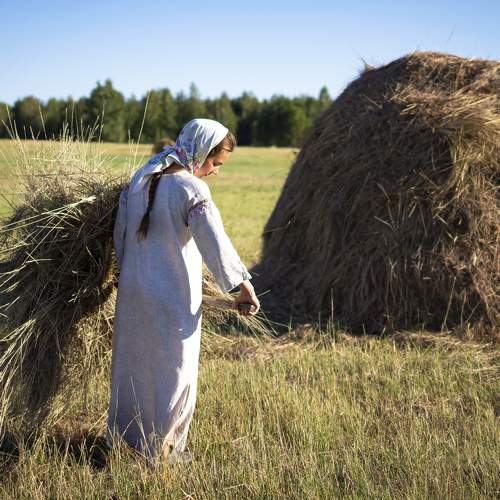 Photo #8550101