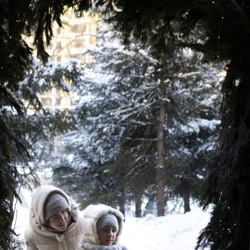 Photo #8550280