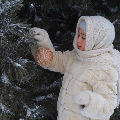 Photo #8550287