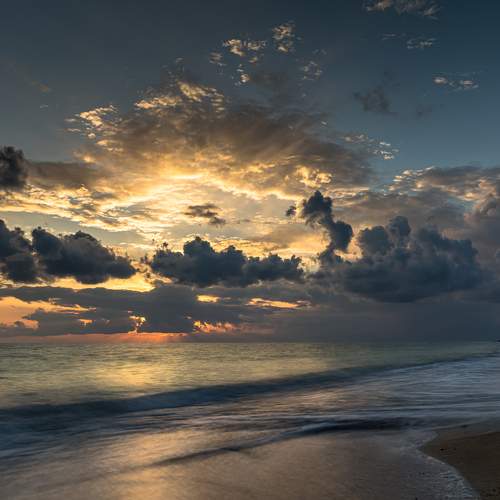 Photo #8550325