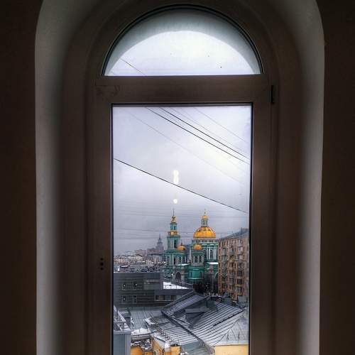 Photo #8551019