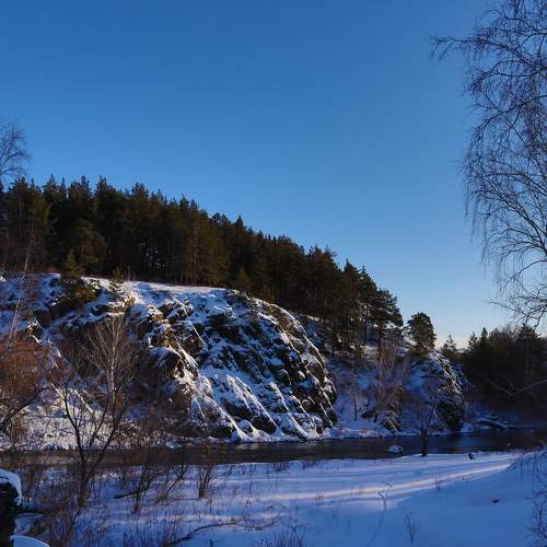 Photo #8551024