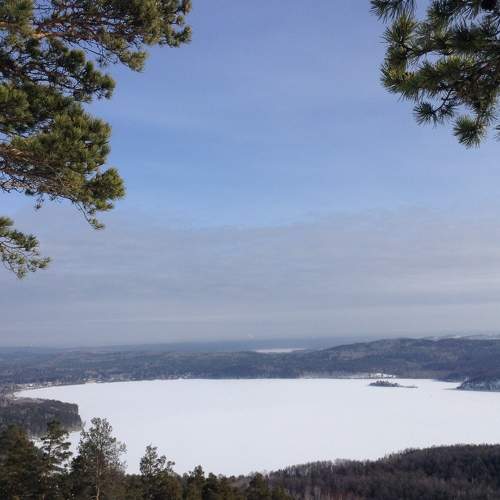 Photo #8551034