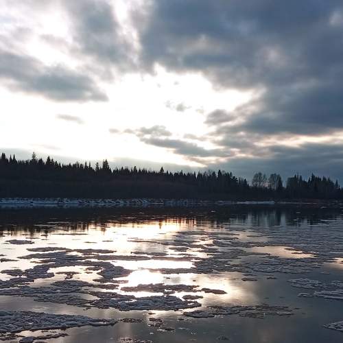 Photo #8551204