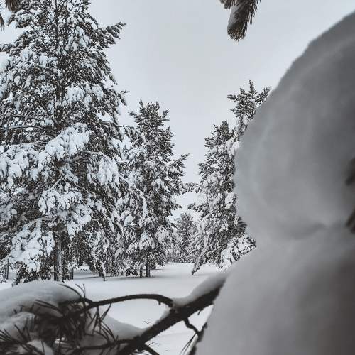Photo #8551663