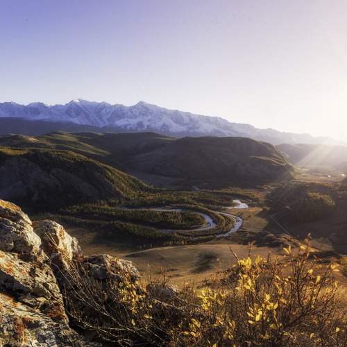 Photo #8551686