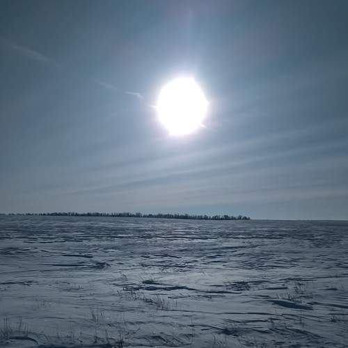 Photo #8551779