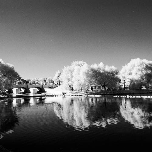 Photo #8551847