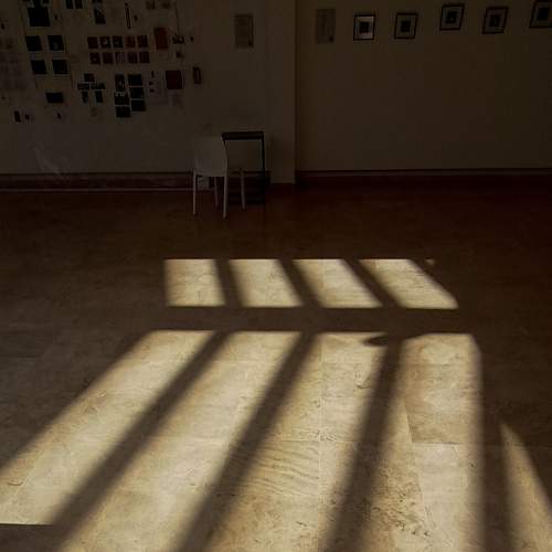 Photo #8551915
