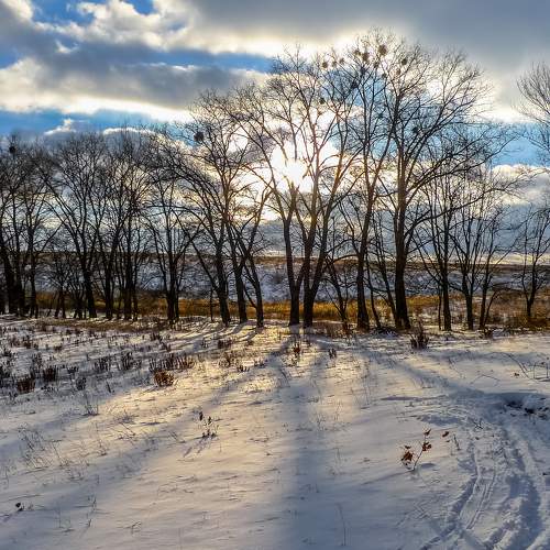 Photo #8552117