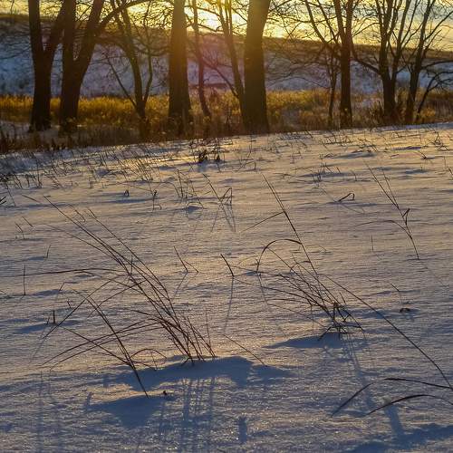 Photo #8552118