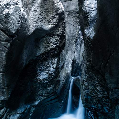 Photo #8552219