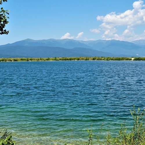 Photo #8552257