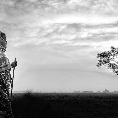 Photo #8552327