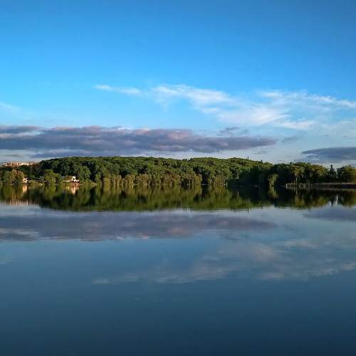 Photo #8552495