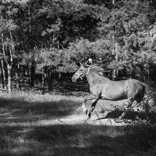Photo #8552698