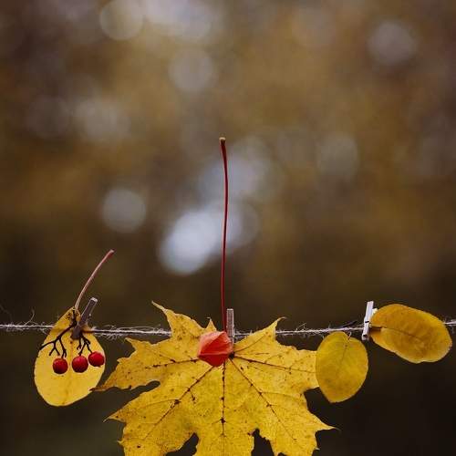 Photo #8552786