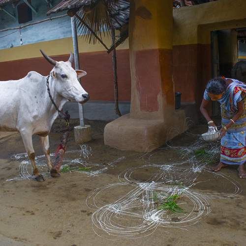 Photo #8552793