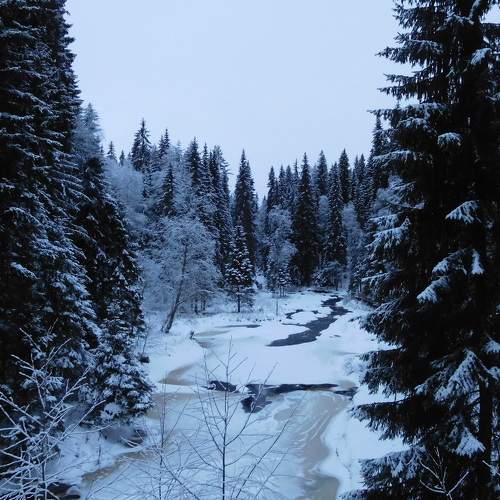 Photo #8552965