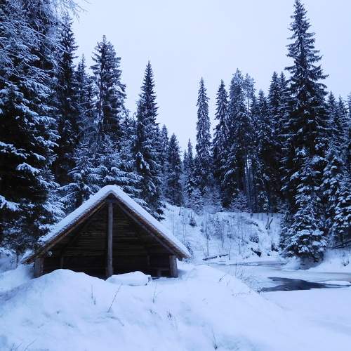 Photo #8552973