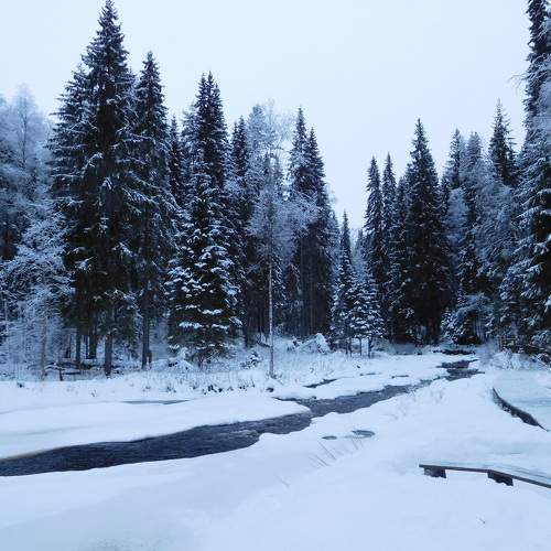 Photo #8552995