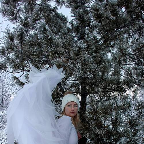 Photo #8553022
